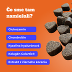 Prémiová starostlivosť o kosti a kĺby pre psov