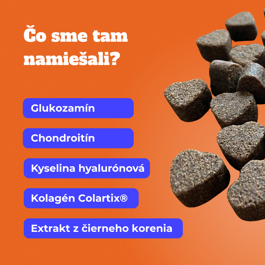Prémiová starostlivosť o kosti a kĺby pre psov