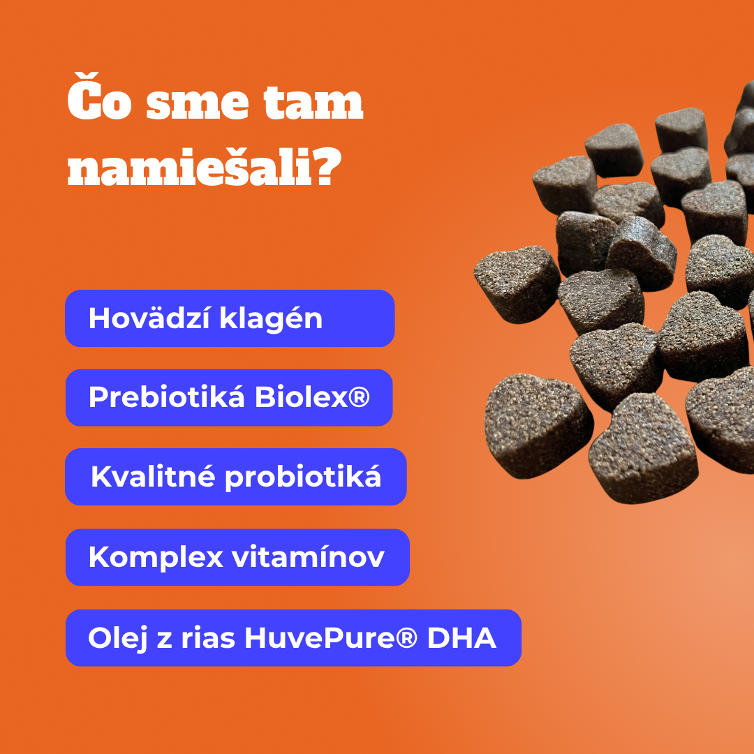 Komplex 17 vitamínov a živín na každý deň pre psov