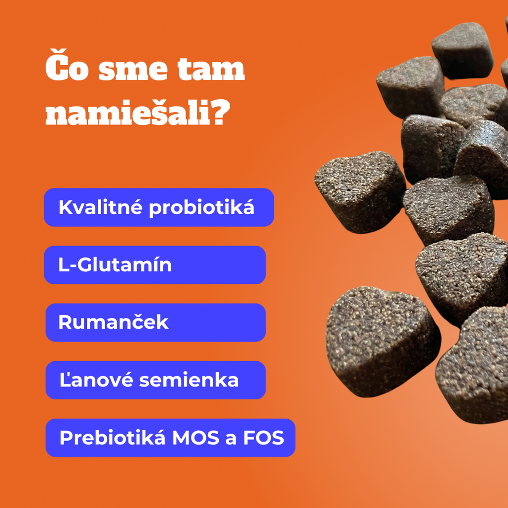 Probiotiká na podporu trávenia pre psov