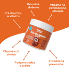 Komplex vitamínov a živín pre mačky na každý deň
