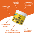 Podpora močových ciest a obličiek pre mačky