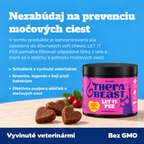 Podpora močových ciest a obličiek pre mačky