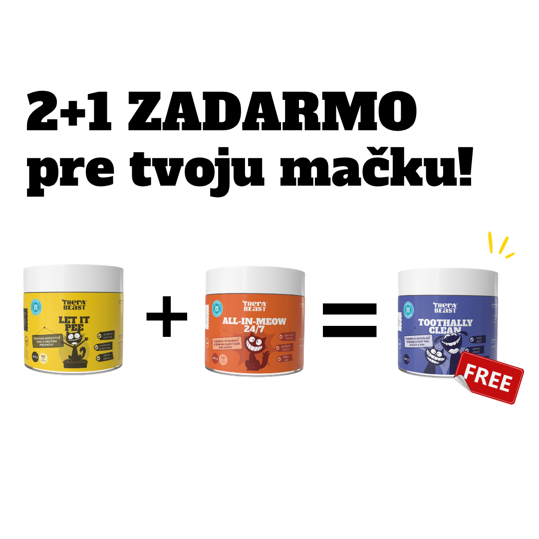 Perfektné kombo pre zdravie mačky
