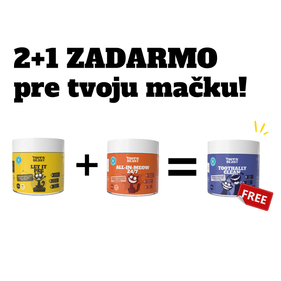 Perfektné kombo pre zdravie mačky