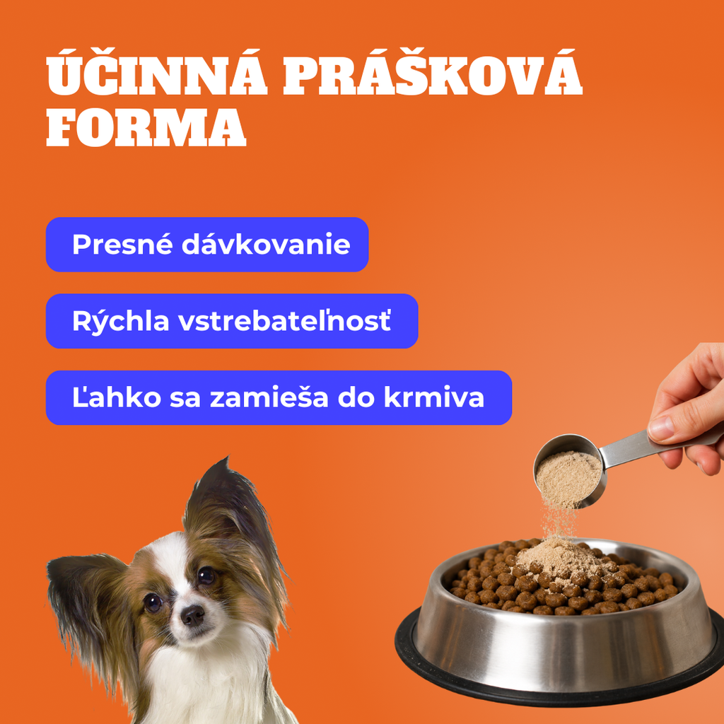 Prémiová dentálna starostlivosť pre psov a mačky