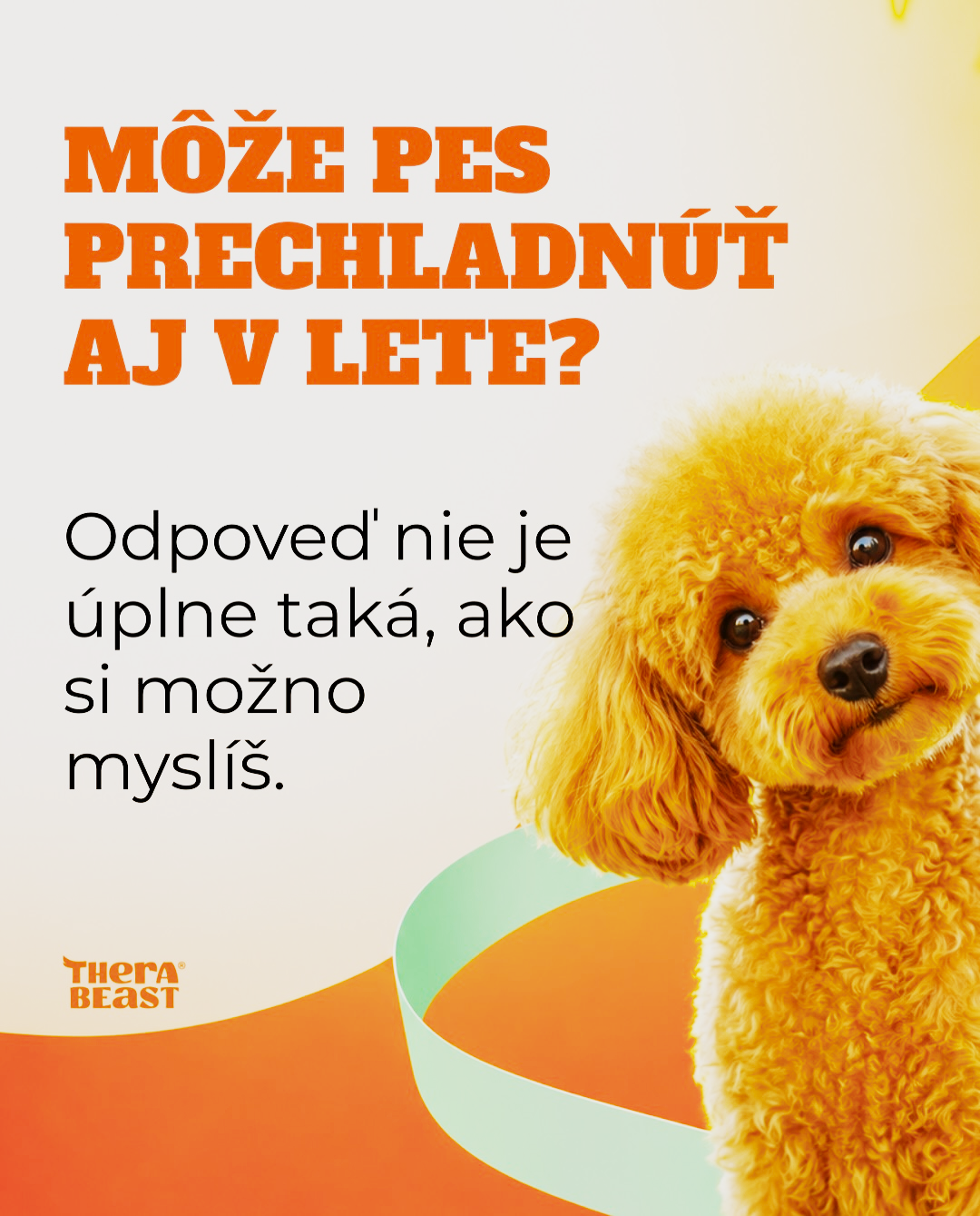 Môže pes prechladnúť aj v lete?